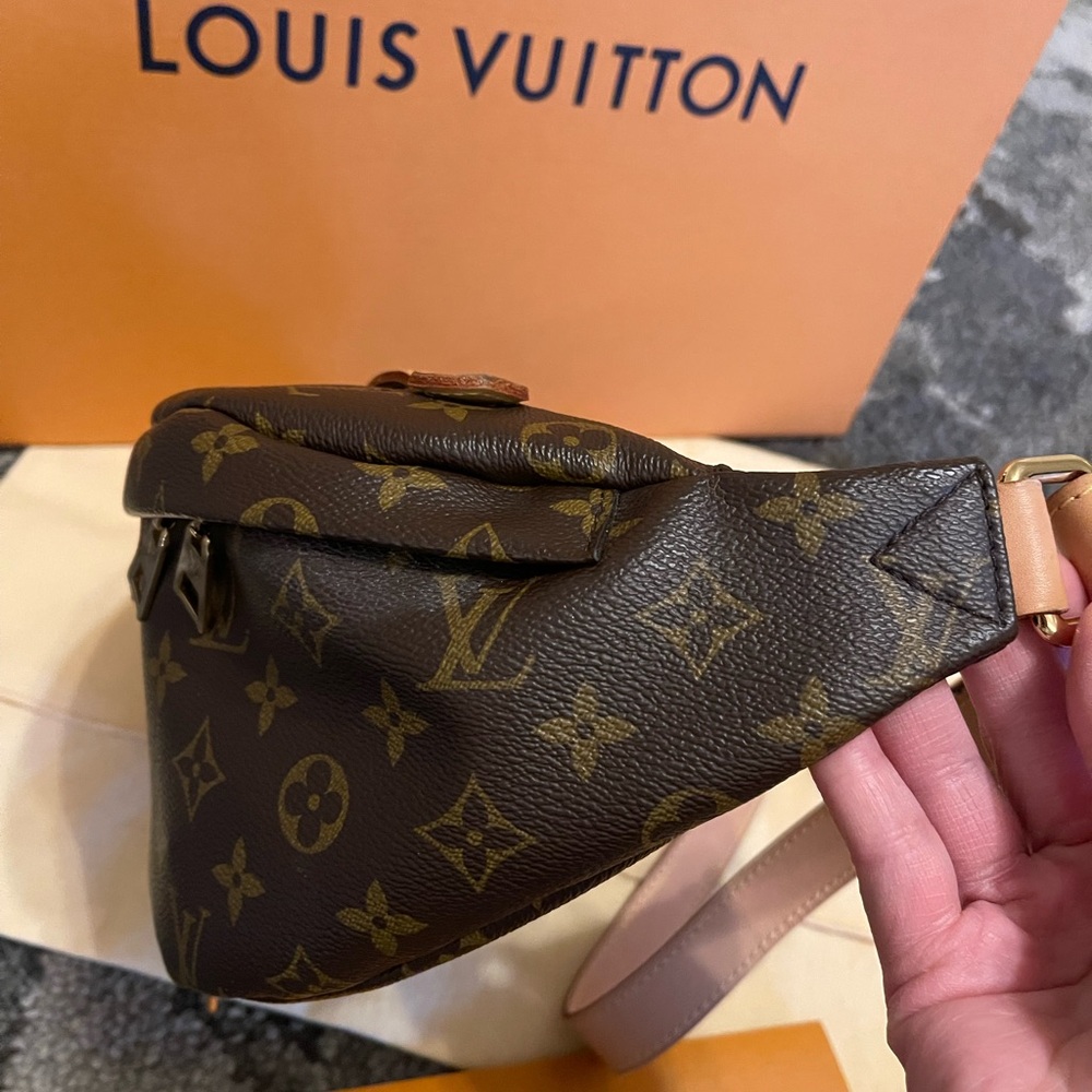 Louis Vuitton Monogram Bum Bag - Picture 5 of 17